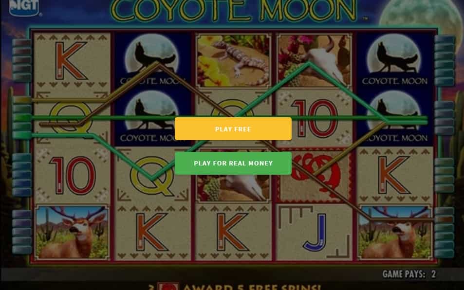 Coyote Moon pokie NZ